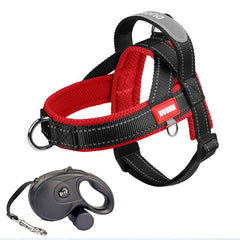 Saddle Dog Harness & Leash Set