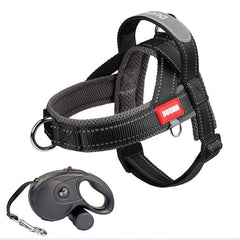 Saddle Dog Harness & Leash Set