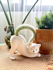 Pretty Kitty Ceramic Pot