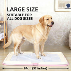 Dog Toilet
