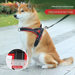 Saddle Dog Harness & Leash Set