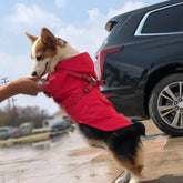 Waterproof Puppy Raincoat with Leash Ring Dog Rain Jacket Outdoor Coat
