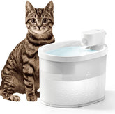 Wireless Cat Water Fountain Battery Operated Automatic Pet Water Dispenser
