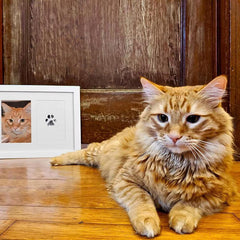 Paw Print Stamp Pad
