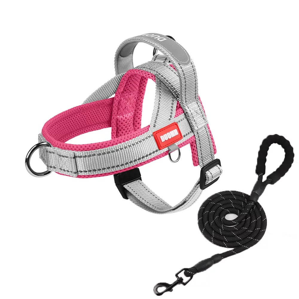 Saddle Dog Harness & Leash Set