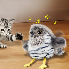 Cat's New Favorite!