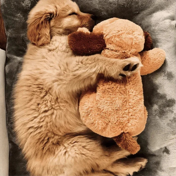 Chip Snuggle Buddy®