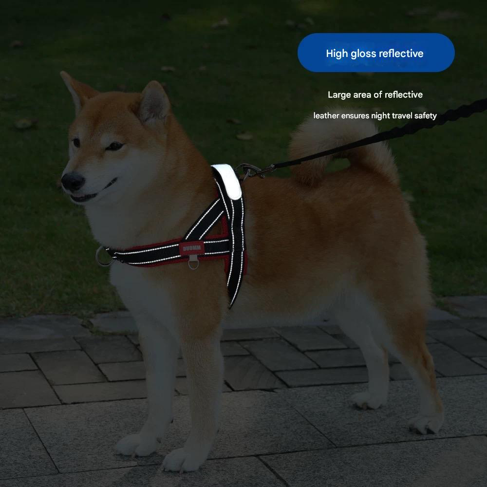 Saddle Dog Harness & Leash Set