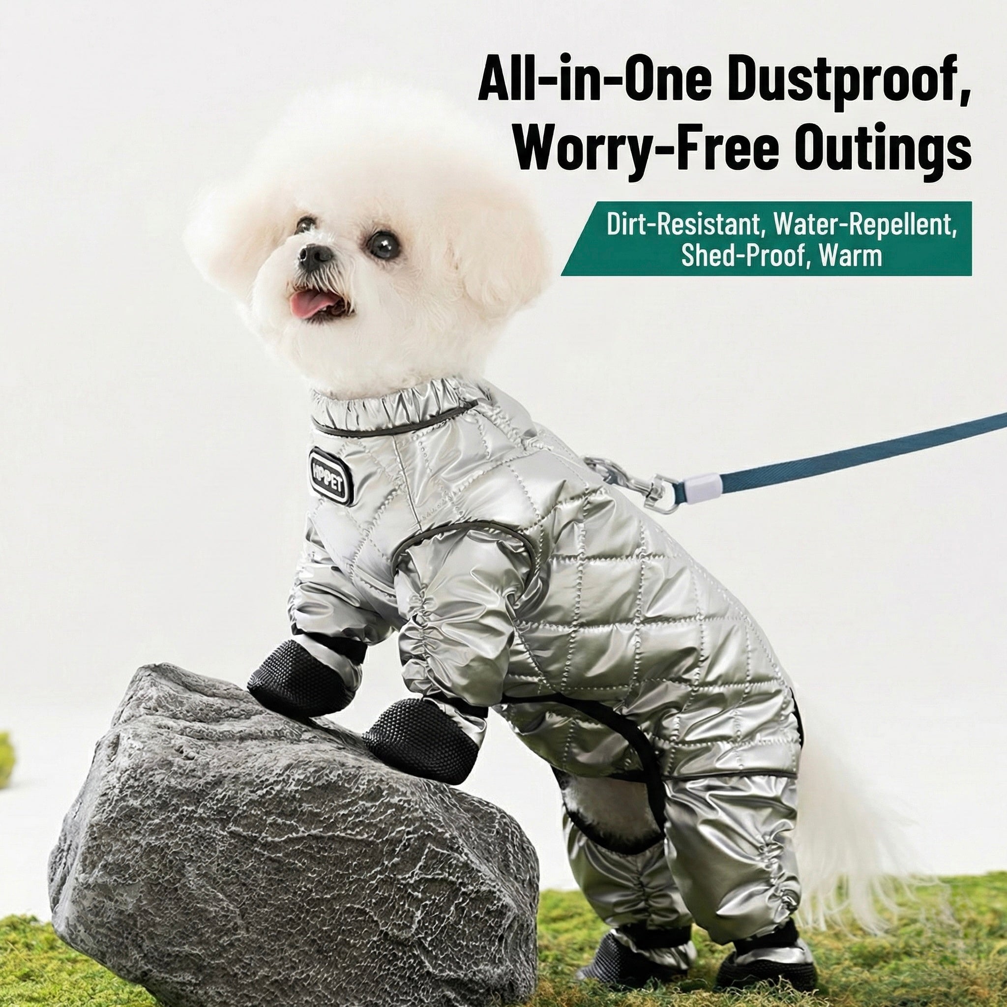Four-Legged Pants For Teddy Dogs