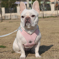 X Shape Breathable Harness Leash Set