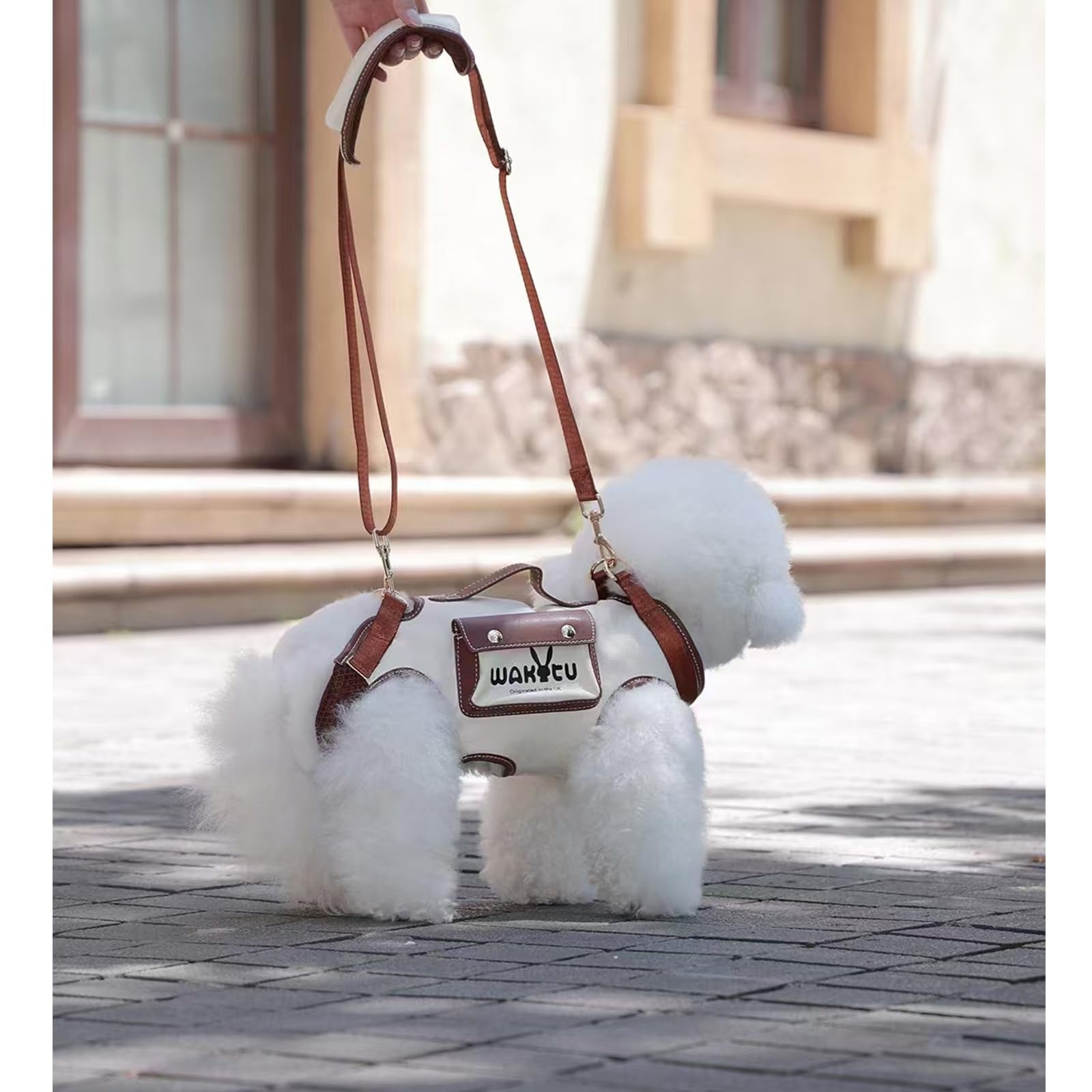 Dog Carrier