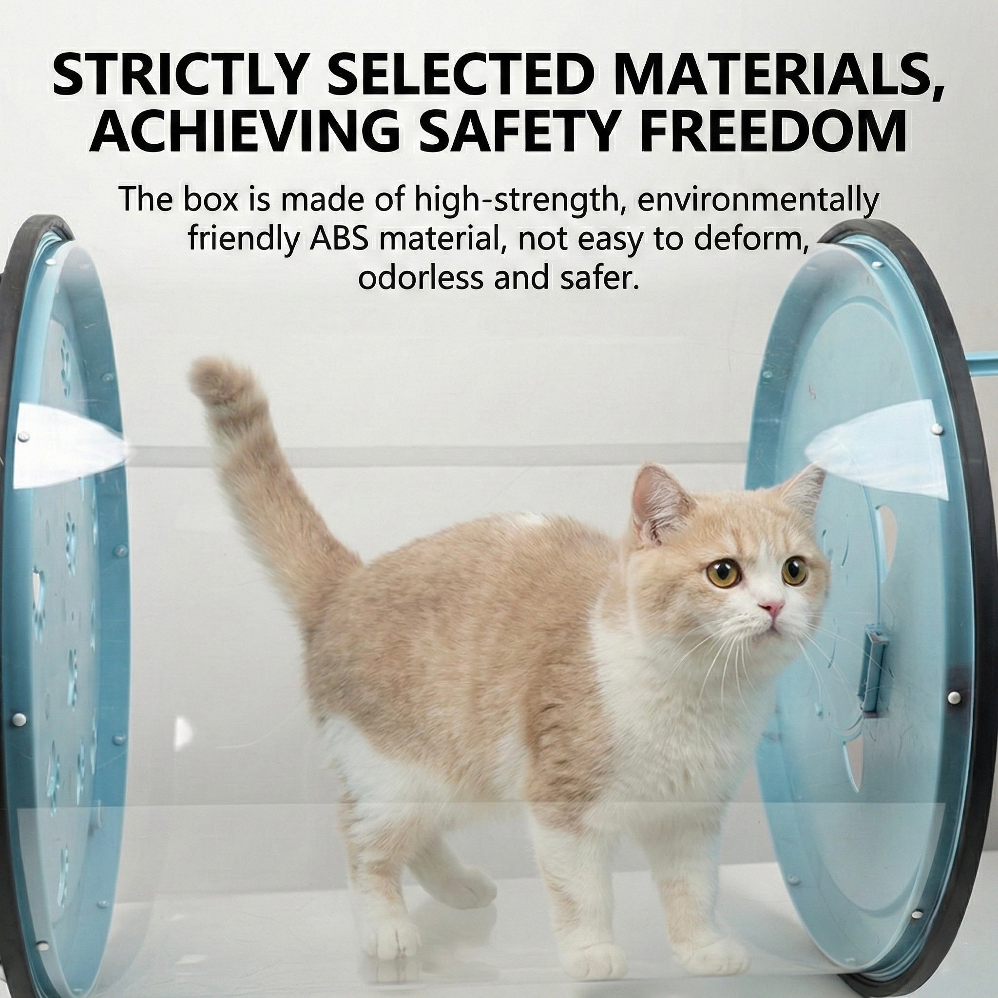 Transparent Cat Walking Roller