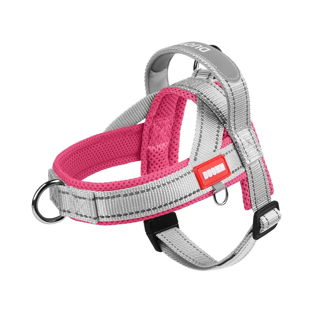 Saddle Dog Harness & Leash Set