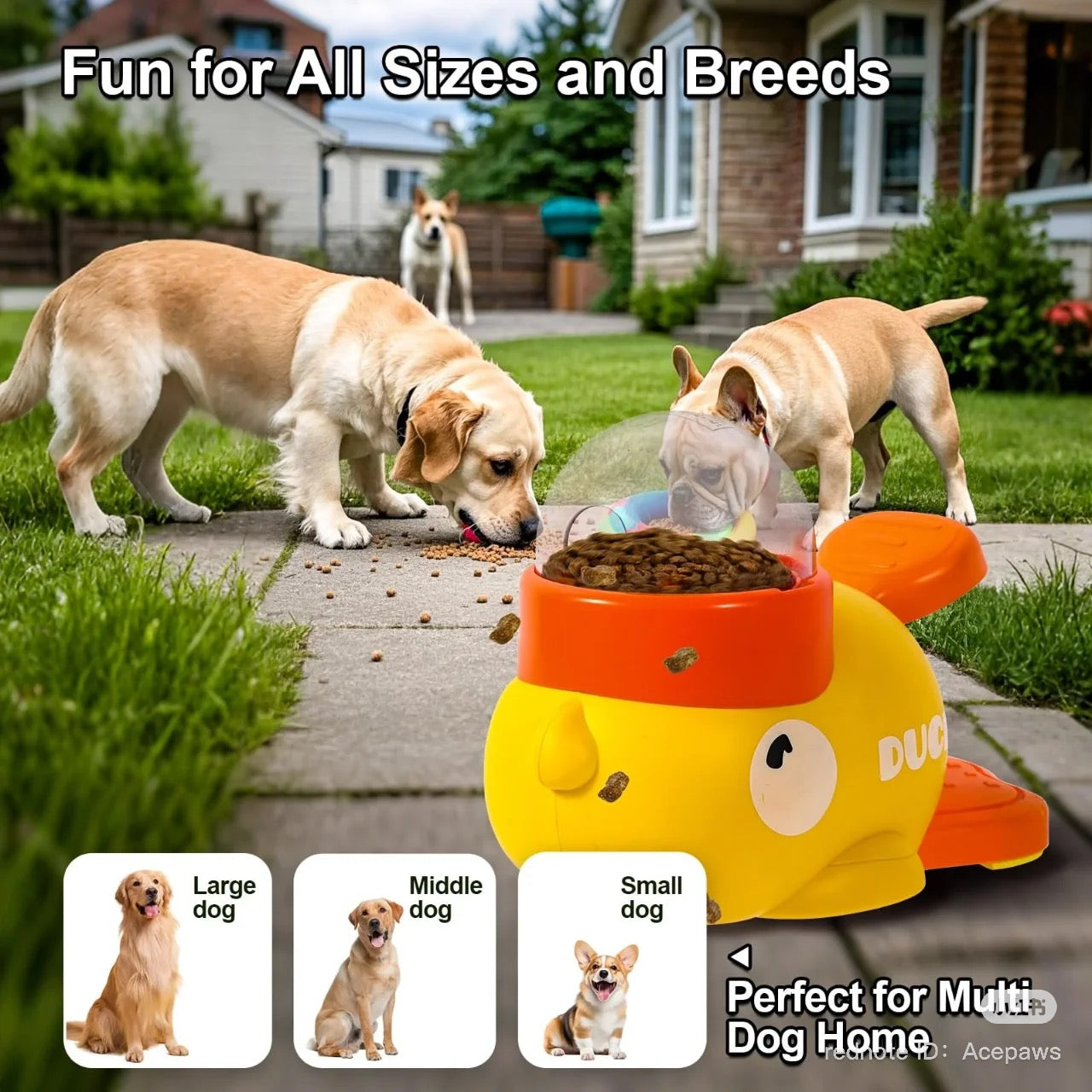 🐥 Trending Interactive Pet Feeder – Cute Duck Design!
