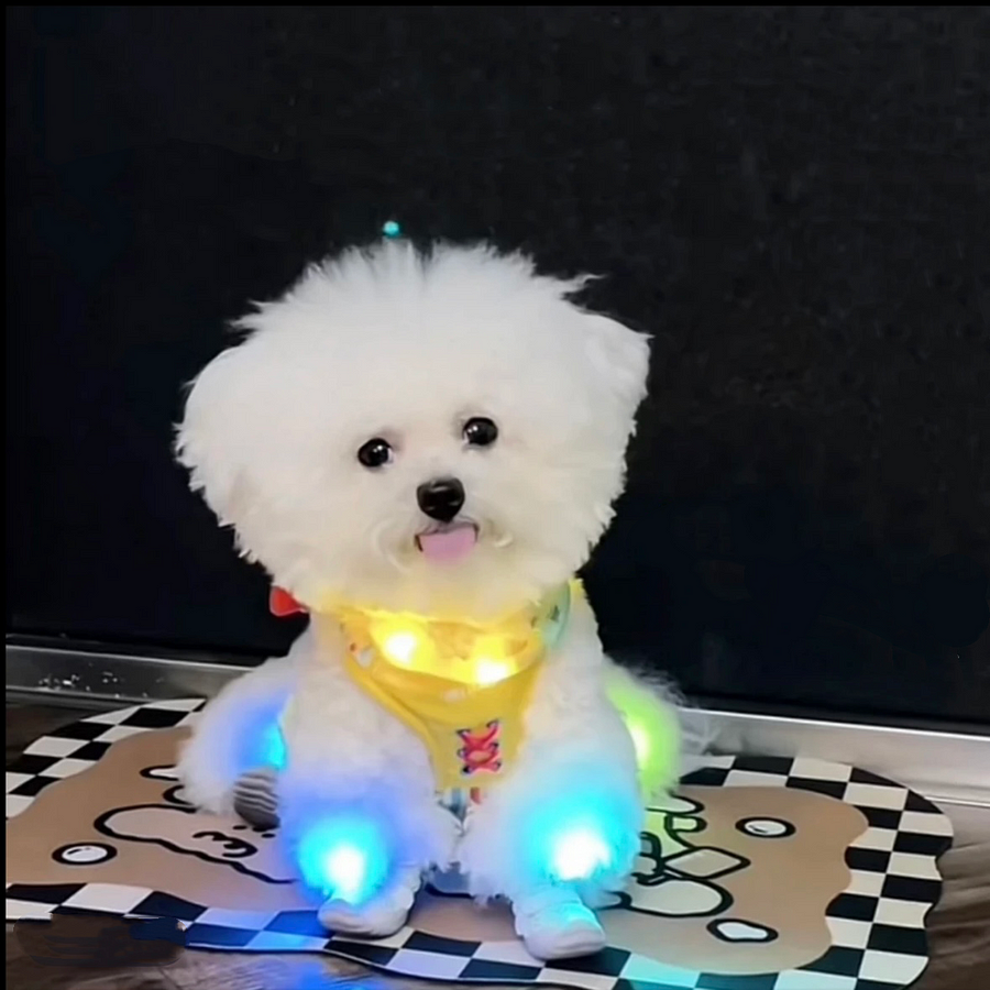 4Pcs Glowing Shoe Lights