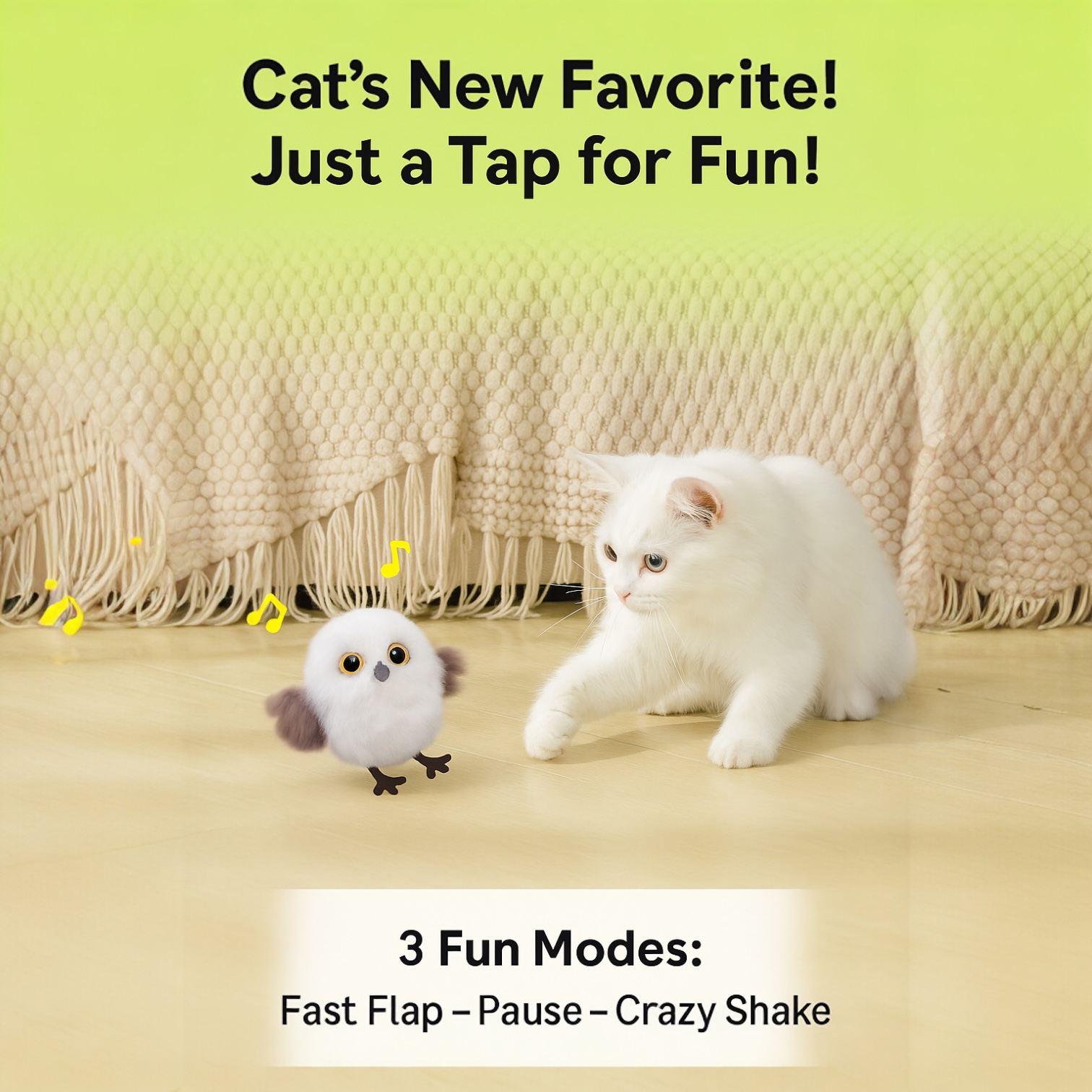 Cat's New Favorite!