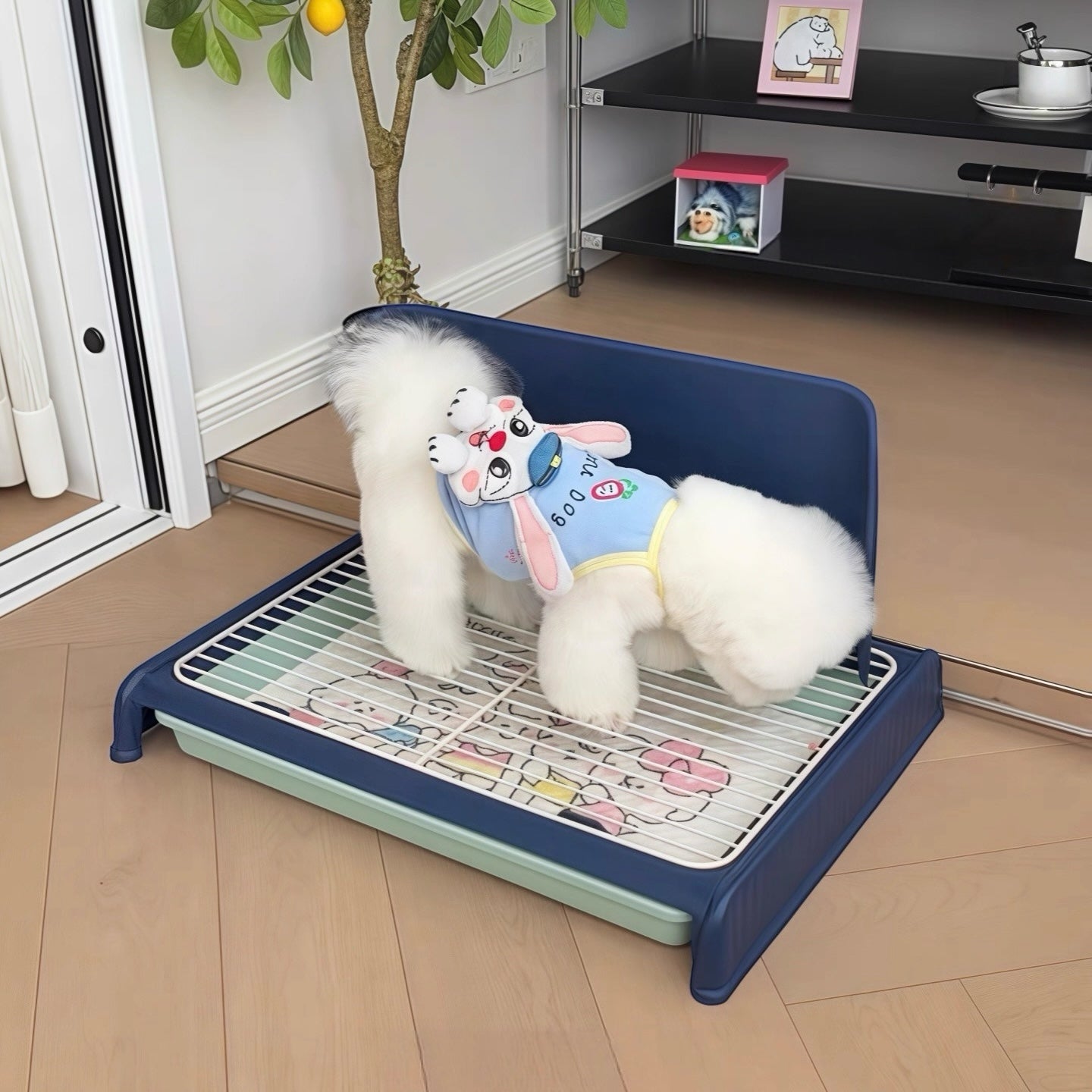 Dog toilet