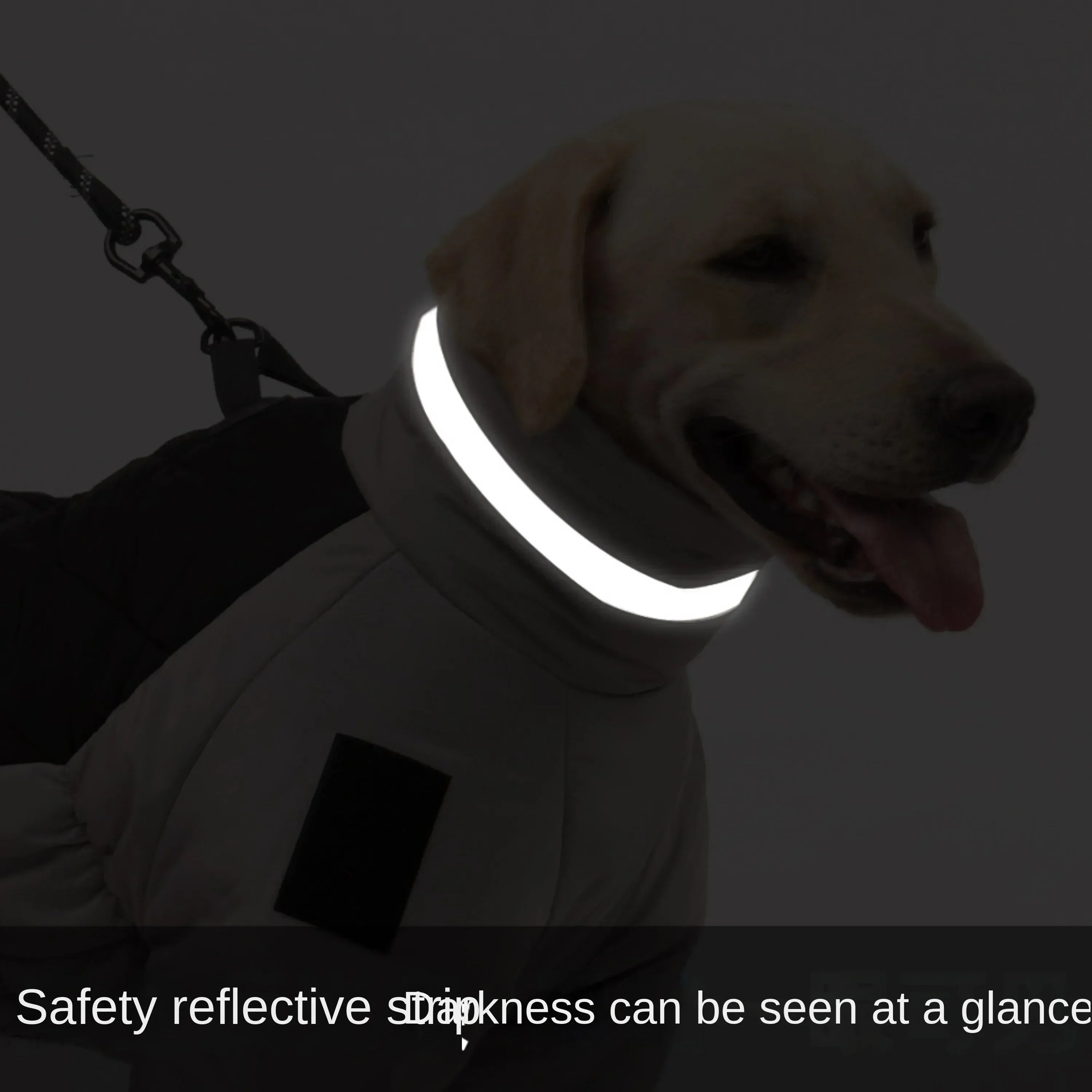 Warm Winter Jacket for Dogs