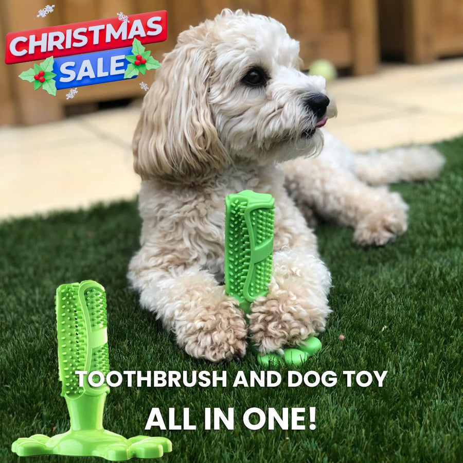 Dog Toothbrush Toy Chew Dental Cleaning Toy for Pets