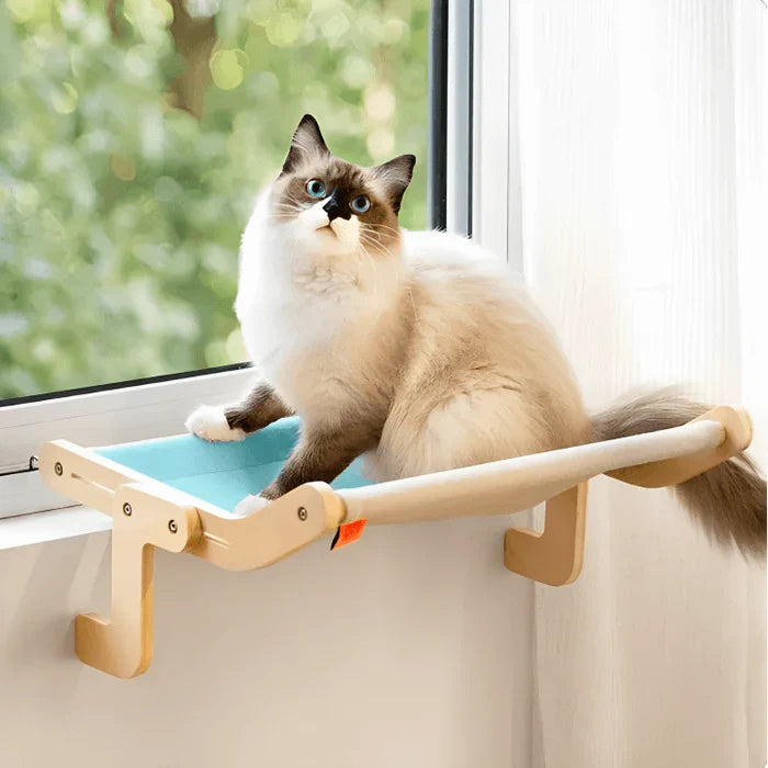 Cat Hammock