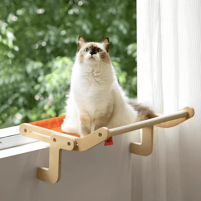 Cat Hammock