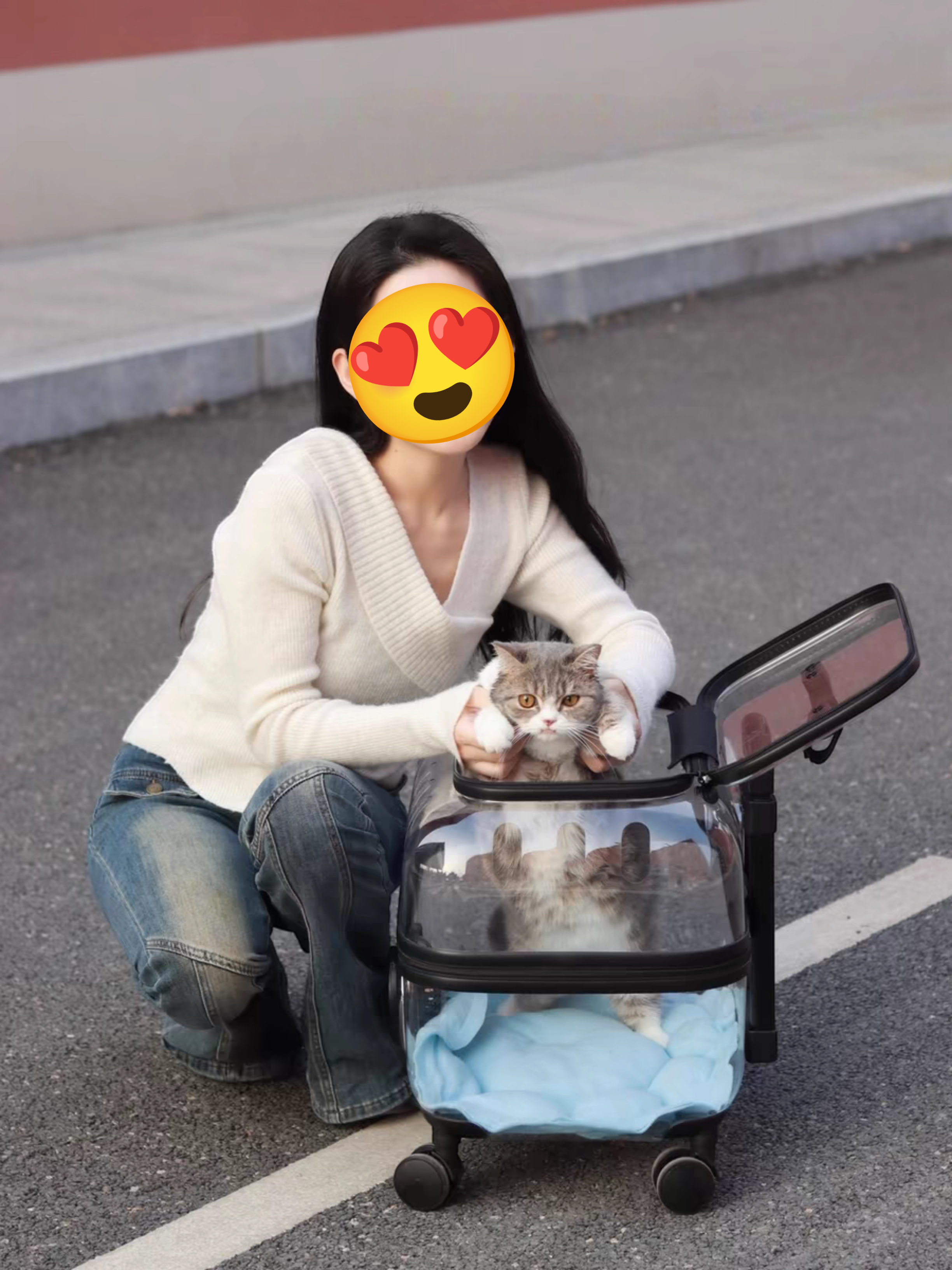 Transparent Pet Travel Trolley