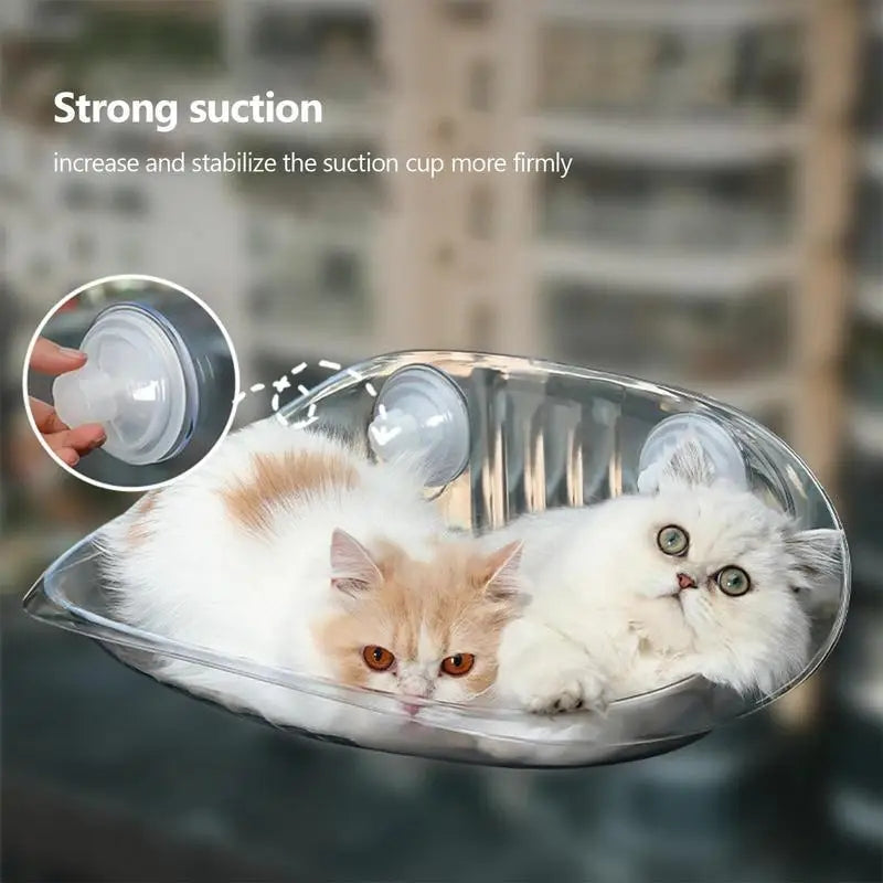 Cat Hammock