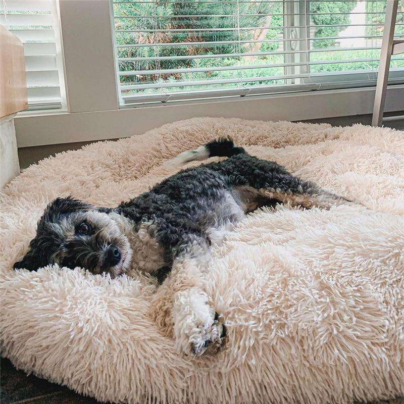 Plush Round Pet Bed