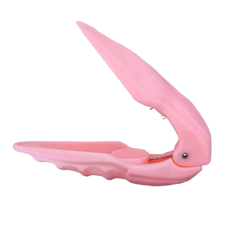 Raw Chestnut Peeling Tool