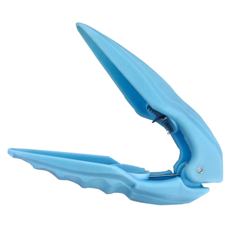 Raw Chestnut Peeling Tool
